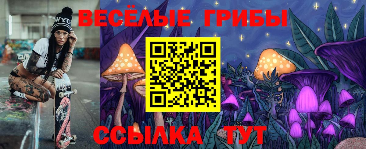 Псилоцибиновые грибы Psilocybine cubensis Муром