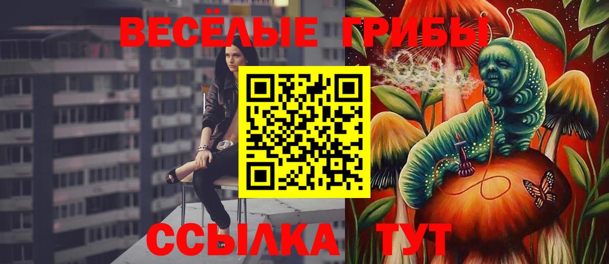 Галлюциногенные грибы ЛСД  Муром 