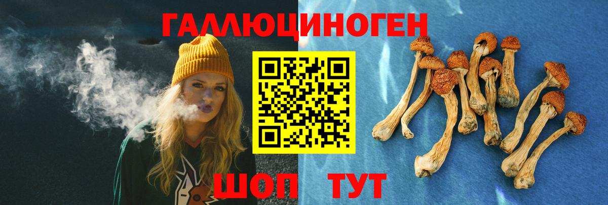 Муром  Псилоцибиновые грибы мухоморы  где купить наркоту  Вход с VPN 