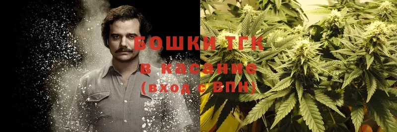 Бошки марихуана THC 21%  как найти   Муром 